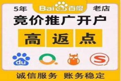 竞价推广公司案例：实战技巧与策略